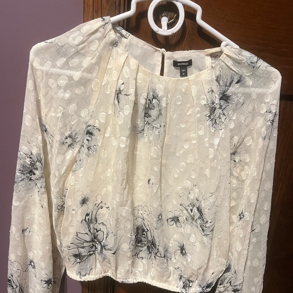 Express dressy top